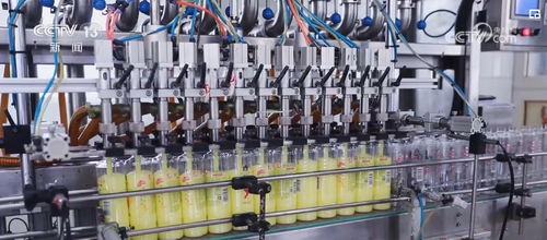 透過數據看變化，雙11購物熱彰顯消費市場活力與電子商務服務提升